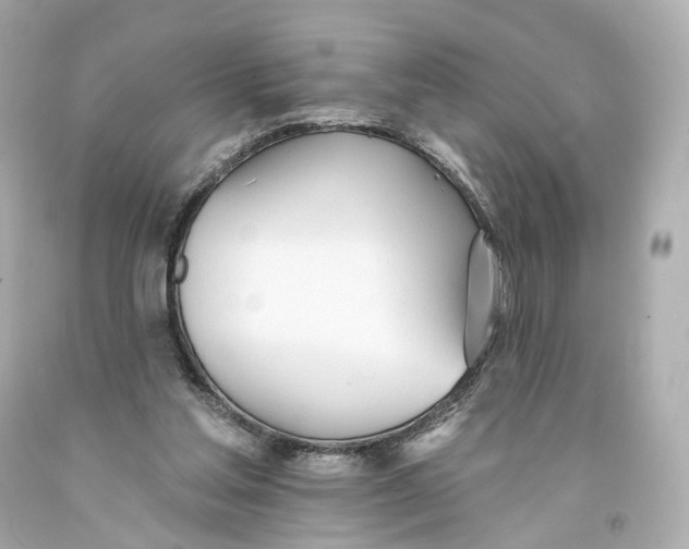 X0000093360205200711011214