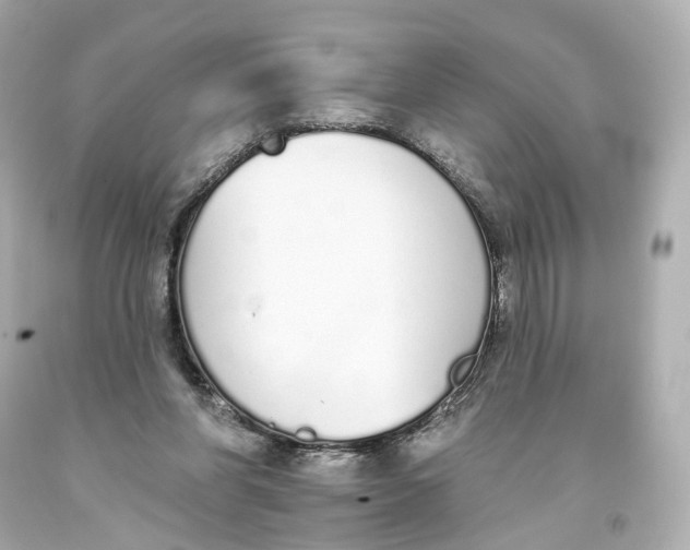 X0000093360206200711011214