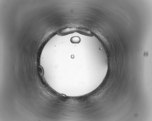 X0000093360207200711011214