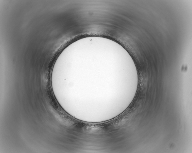 X0000093360208200711011214