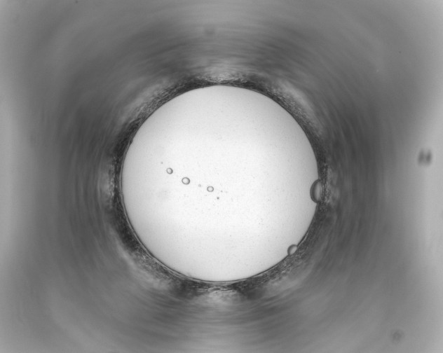 X0000093360210200711011214