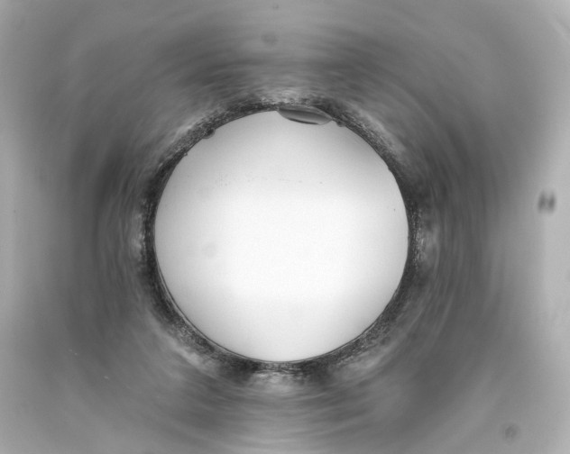 X0000093360211200711011214