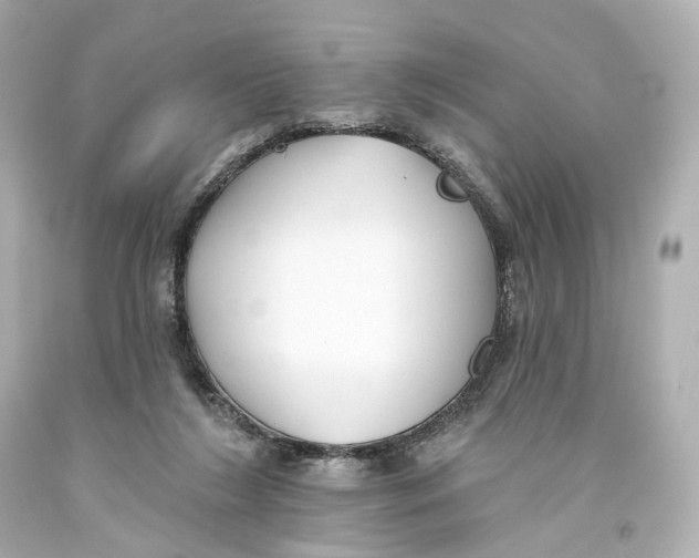 X0000093360212200711011214