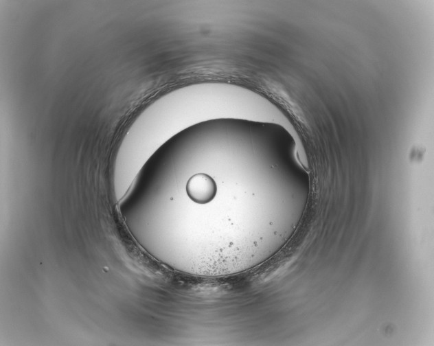 X0000093360213200711011214