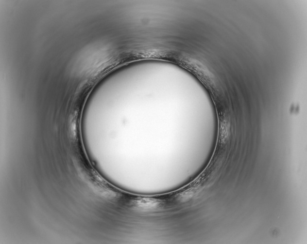 X0000093360214200711011214