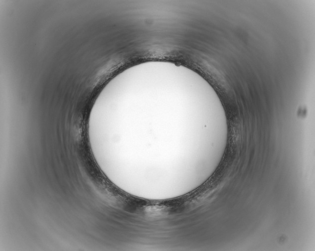 X0000093360216200711011214