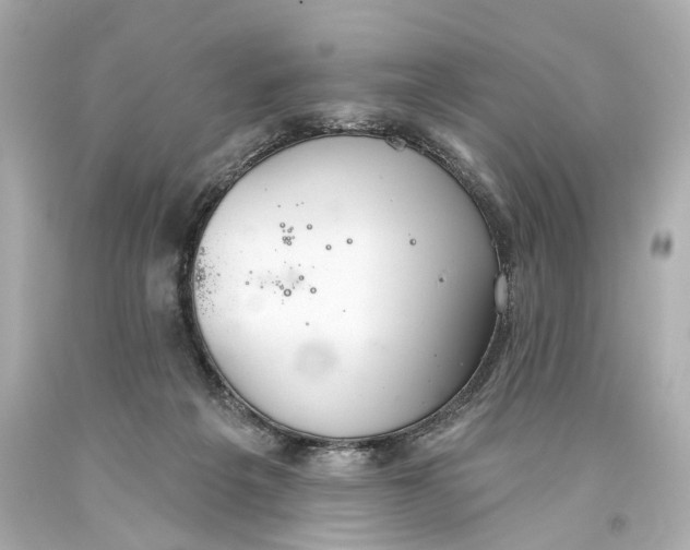 X0000093360217200711011214