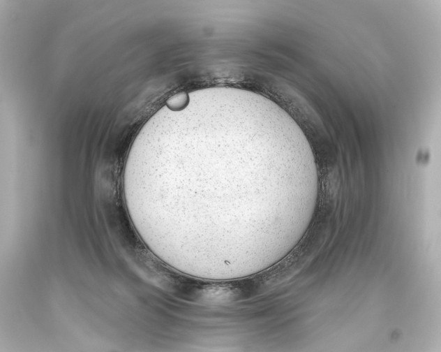 X0000093360218200711011214