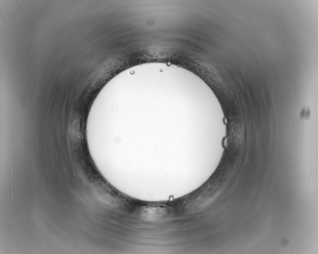 X0000093360220200711011214