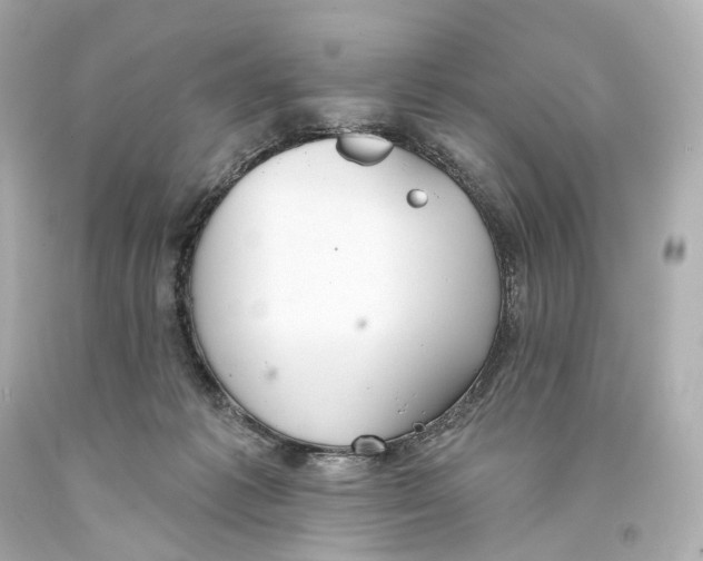 X0000093360221200711011214