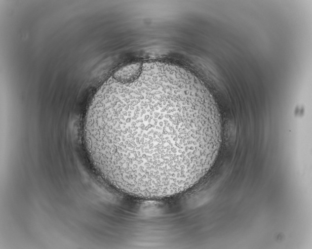 X0000093360222200711011214