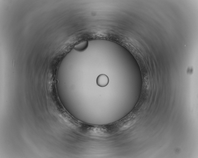 X0000093360223200711011214