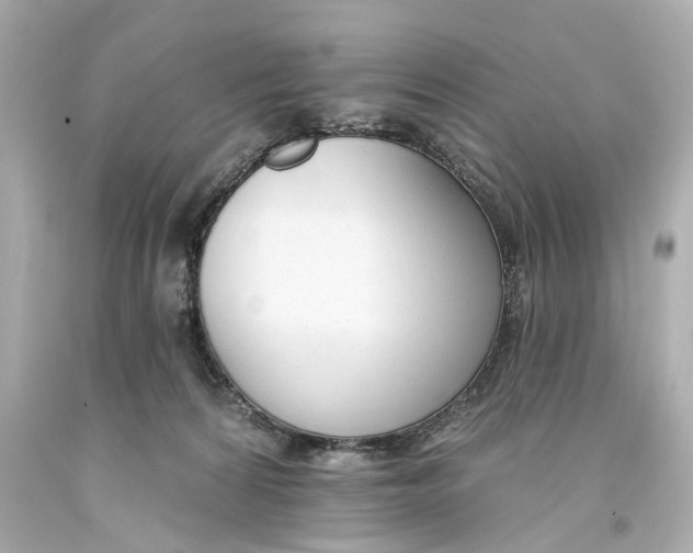 X0000093360224200711011214