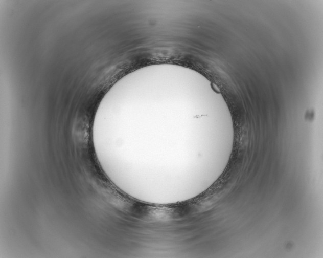 X0000093360226200711011214