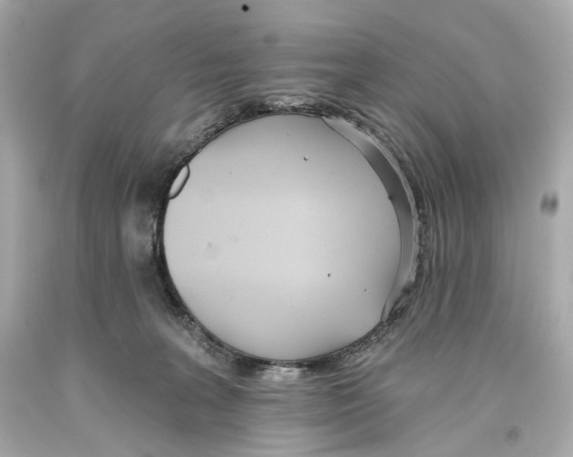 X0000093360227200711011214