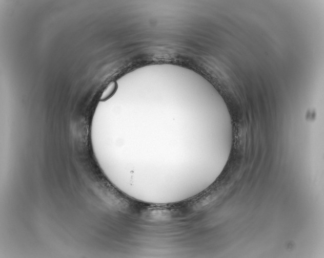 X0000093360228200711011214