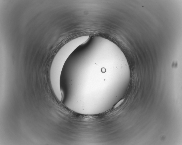 X0000093360229200711011214