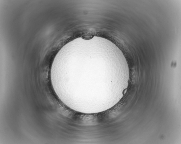 X0000093360230200711011214