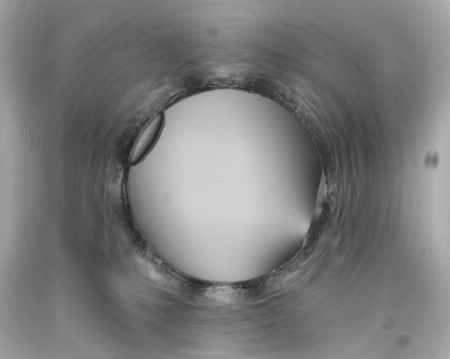 X0000093360231200711011214