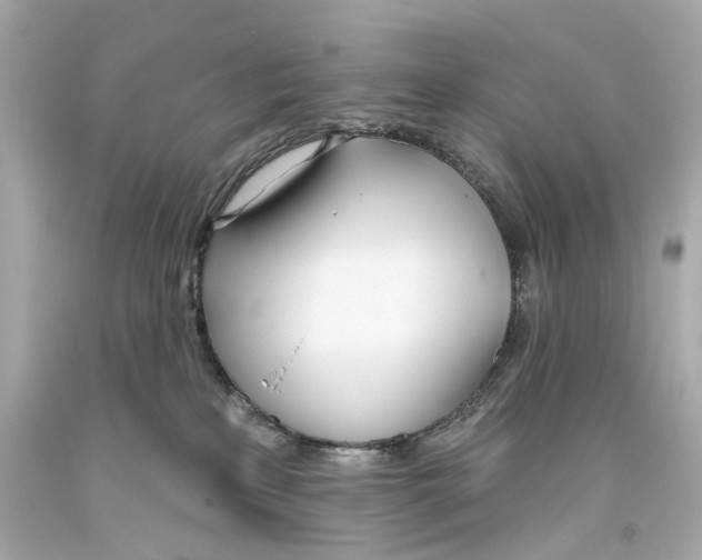 X0000093360233200711011214