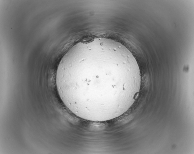 X0000093360234200711011214