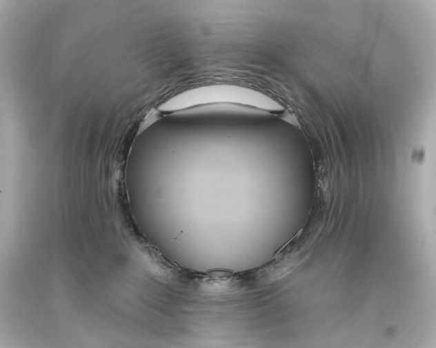 X0000093360235200711011214