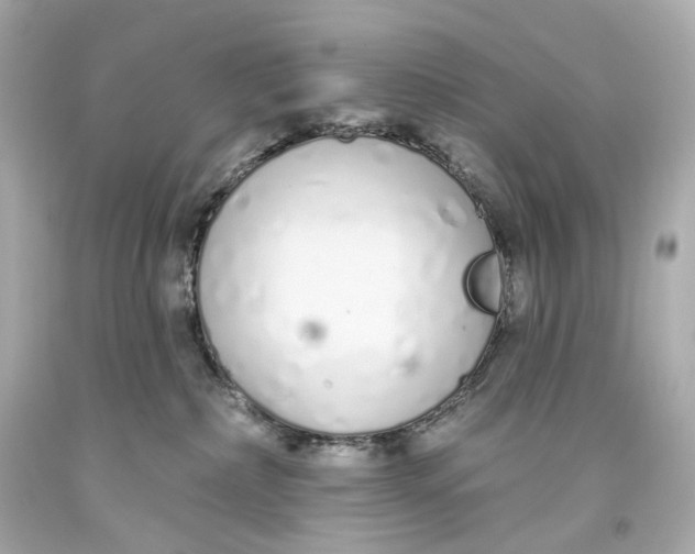 X0000093360236200711011214