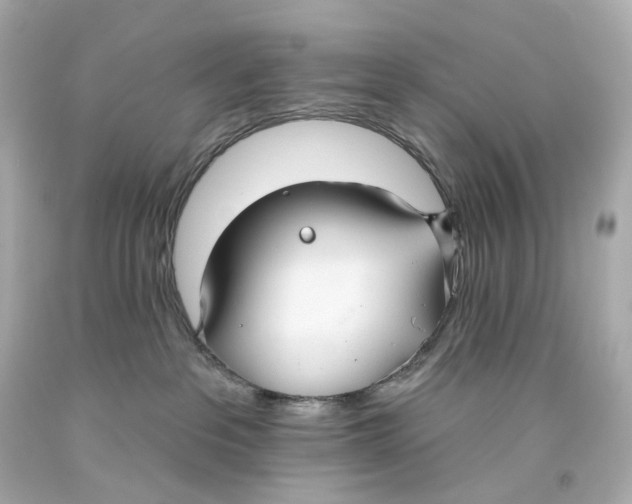 X0000093360237200711011214