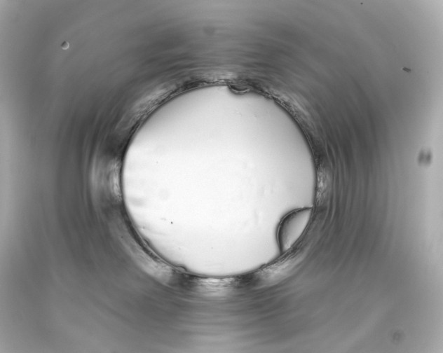 X0000093360238200711011214