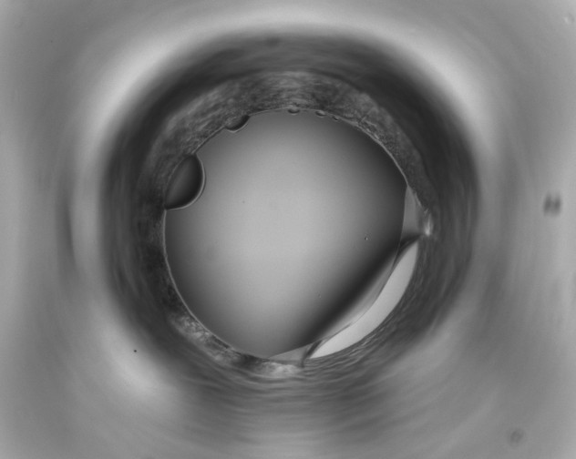 X0000093360239200711011214