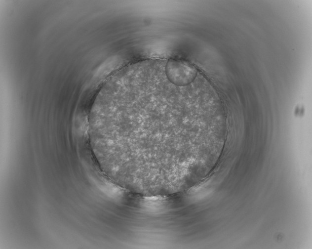 X0000093360240200711011214