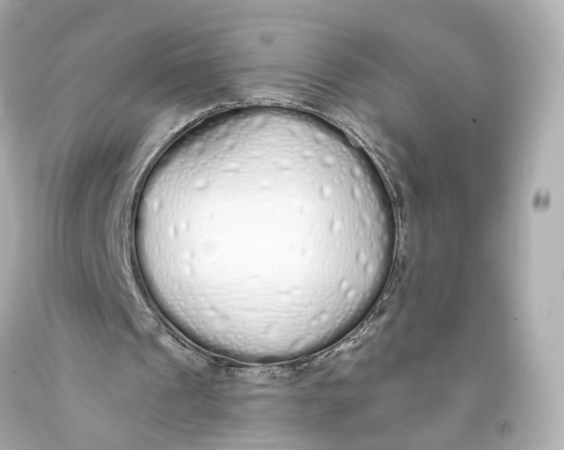 X0000093360241200711011213