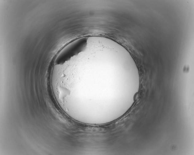 X0000093360242200711011213