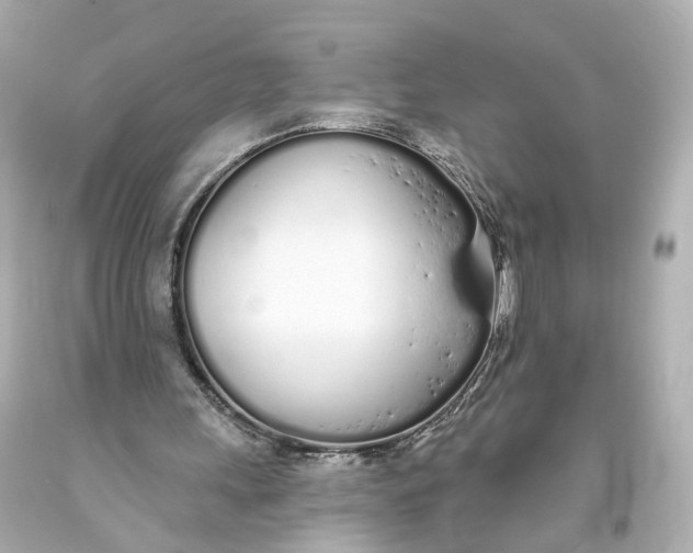 X0000093360243200711011213