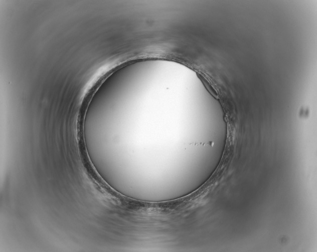 X0000093360244200711011213