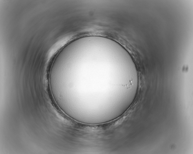 X0000093360245200711011213