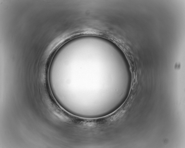 X0000093360247200711011213