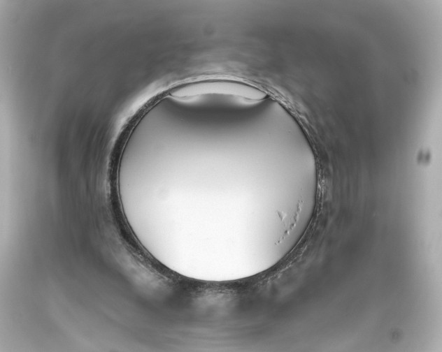 X0000093360248200711011213