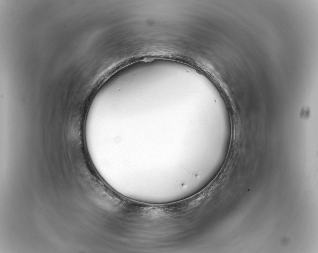 X0000093360249200711011213