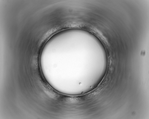 X0000093360250200711011213