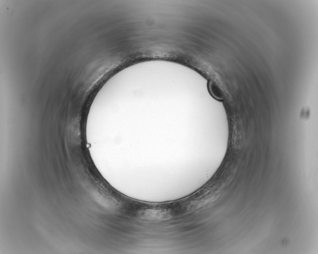 X0000093360251200711011213