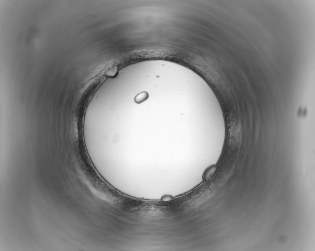 X0000093360254200711011213