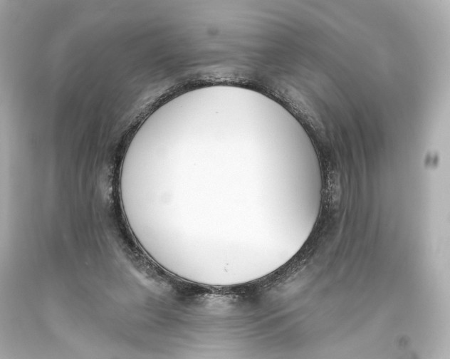 X0000093360255200711011213