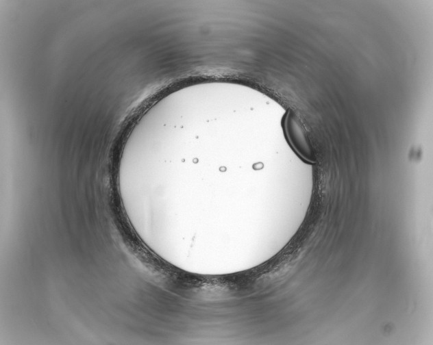 X0000093360256200711011213