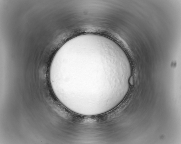 X0000093360257200711011213