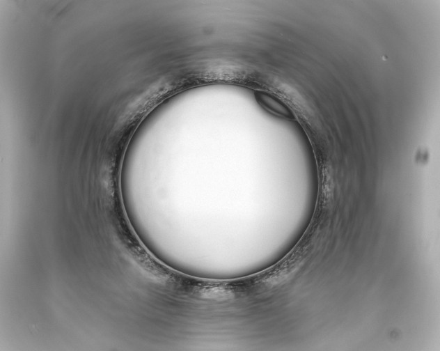 X0000093360258200711011213