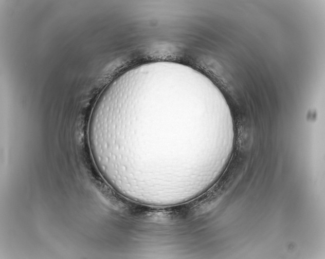 X0000093360259200711011213