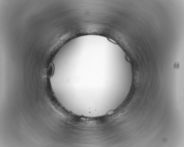 X0000093360260200711011213