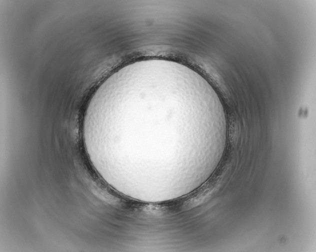 X0000093360261200711011213