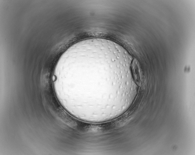 X0000093360263200711011213